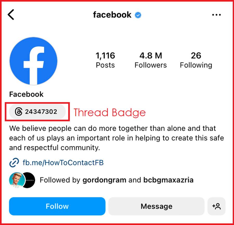 Hide Threads Badge, Instagram Threads App, Meta's Threads App, Instagram Profile, Threads Badge, Instagram Badge, Removing Threads Badge, Threads Profile, Instagram Threads Connection, Navigating Instagram and Threads.